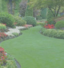 正版软件商城的cc网页端