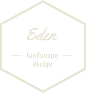 专业代充的如何攻击网站